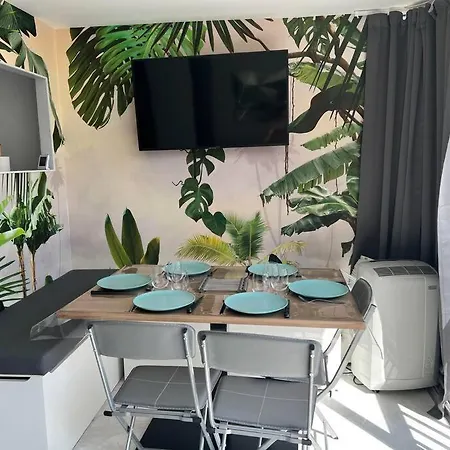 Cap D'agde T2 6 Couchages آجد